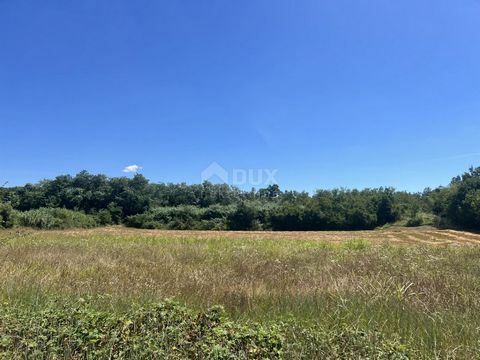 ISTRIA, BADERNA - Działka rolna w leśnej przyrodzie Baderna, wieś na Istrii, 13 km na wschód od Poreča i 20 km na południowy zachód od Pazina. Znajduje się na skrzyżowaniu drogi Poreč – Pazin – Rijeka (tunel Učka) i autostrady Pula – Kopar (Słowenia)...