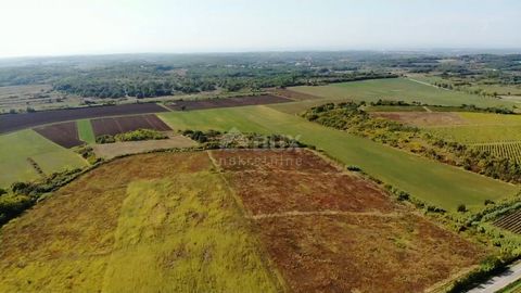 Location: Istarska županija, Buje, Buje. ISTRIA, BUJE - Agricultural land of 14255 m2 with sea view! The medieval town of Buje is located on the northwestern part of the Istrian peninsula, and is located on top of a hill from which there is a wonderf...