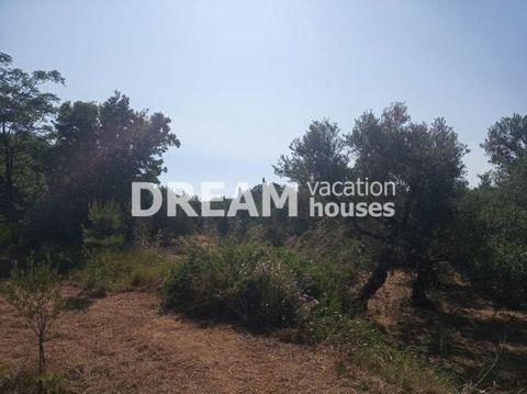 Description Tragaki, Plot For Sale, 4.200 sq.m., Price: 320.000€. Πασχαλίδης Γιώργος Additional Information Very good plot of land of 8081sq.m. in Tragaki, which builds under conditions up to 800sq.m. It has a distant view to the sea and is 900m away...