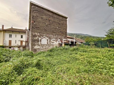 photo no. 10