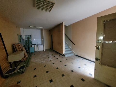 photo no. 12