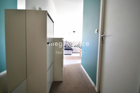 photo no. 5