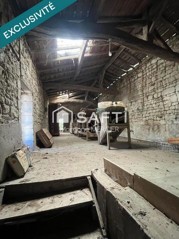 photo no. 9