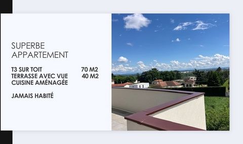 Appartement à vendre 3 pièces RILLIEUX LA PAPE (69) - Appartement toit terrasse - NEUF - terrasse de 42 m2 ( parking en option )