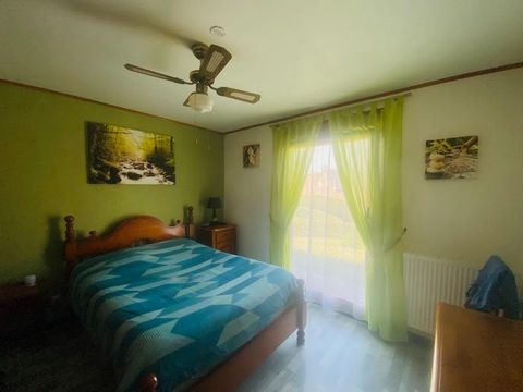 photo no. 5
