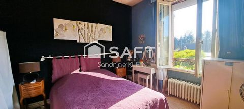 photo no. 12