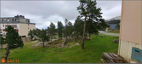 photo no. 8