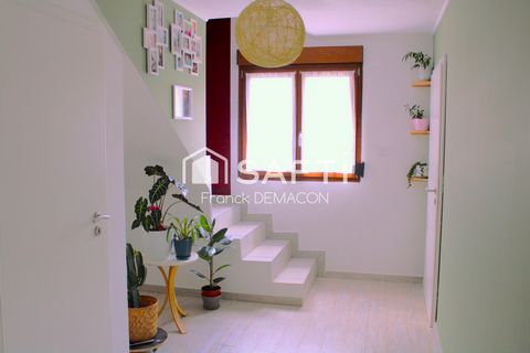 photo no. 12