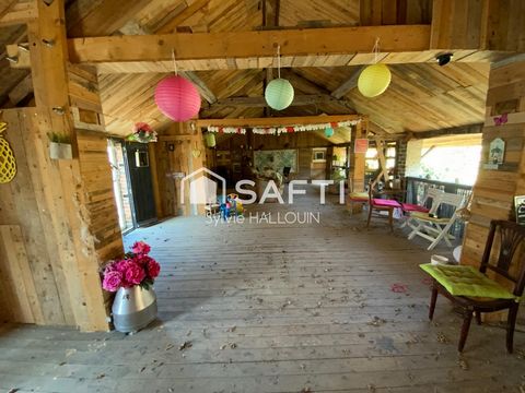photo no. 10