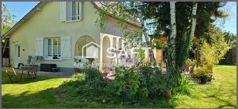 photo no. 10
