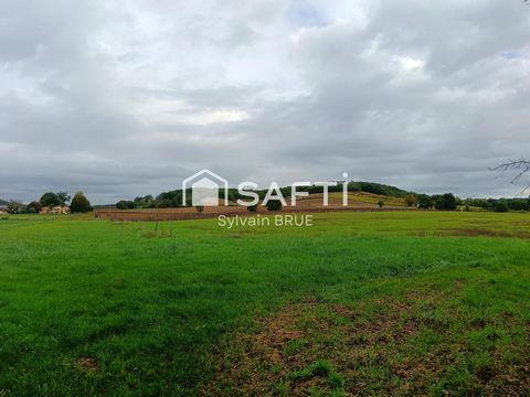 photo no. 3
