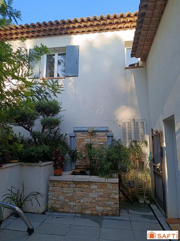 photo no. 6