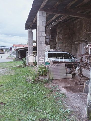 photo no. 4