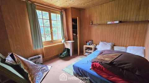 photo no. 10