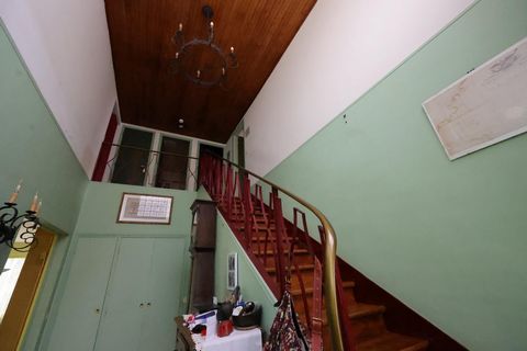 photo no. 11