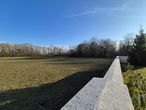 photo no. 3