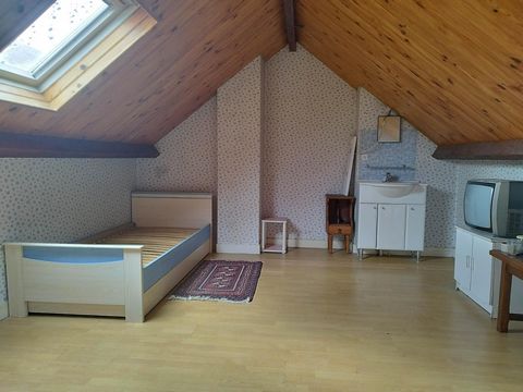 photo no. 8