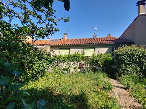 photo no. 5