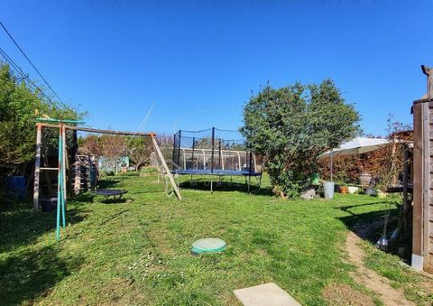 photo no. 12