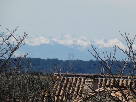 photo no. 13