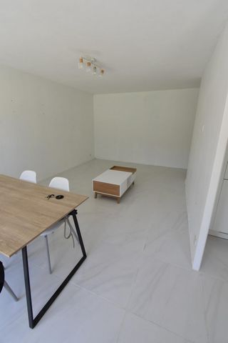 photo no. 5