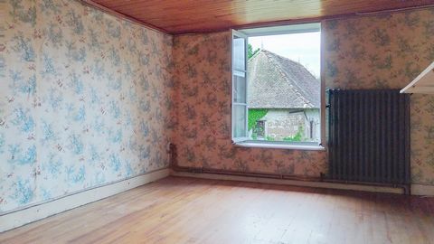 photo no. 6