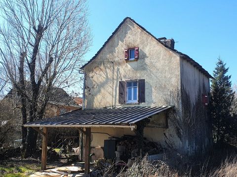 photo no. 2