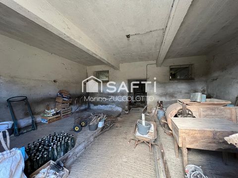 photo no. 13