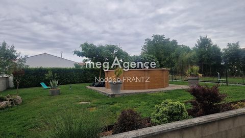 photo no. 10