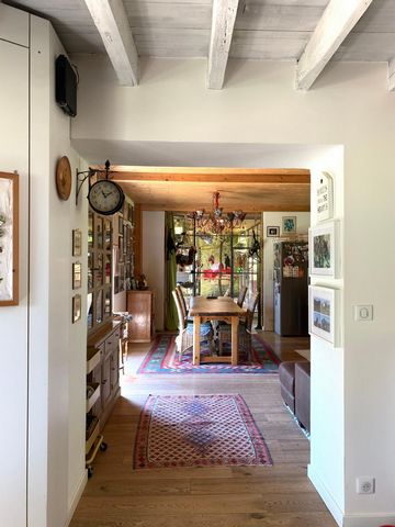 photo no. 11