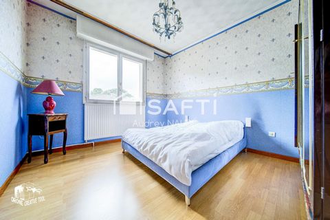 photo no. 6