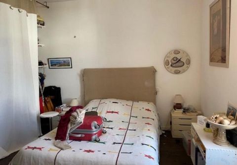 photo no. 8