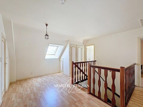 photo no. 6