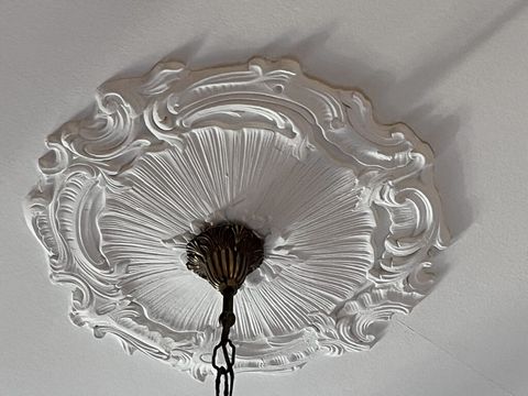 photo no. 15