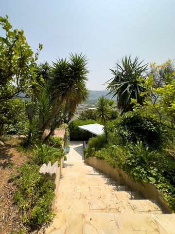 photo no. 16
