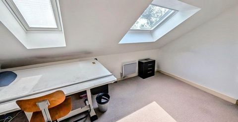 photo no. 11