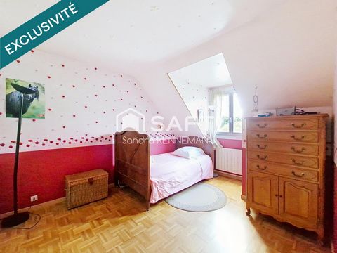 photo no. 10