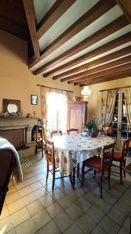 photo no. 5