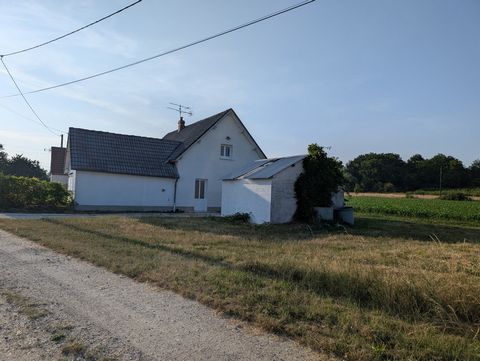 photo no. 2