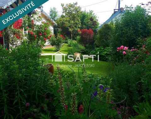 photo no. 17