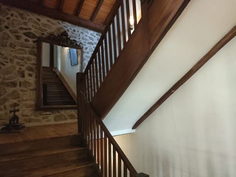 photo no. 9
