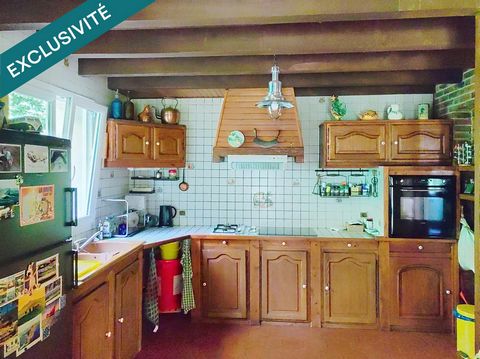 photo no. 13