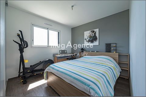 photo no. 12