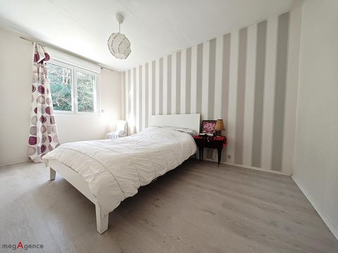 photo no. 7