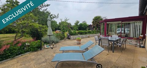 photo no. 16
