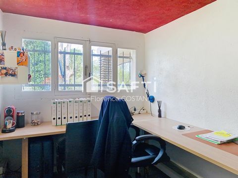 photo no. 13