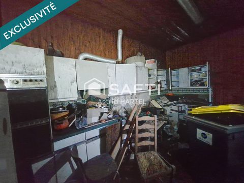 photo no. 5