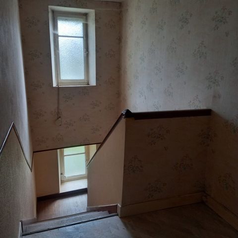 photo no. 9