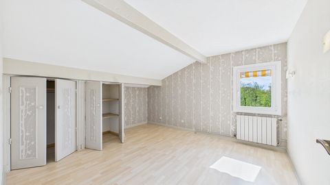 photo no. 12