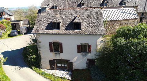 photo no. 1